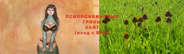 кокаин колумбия Шали