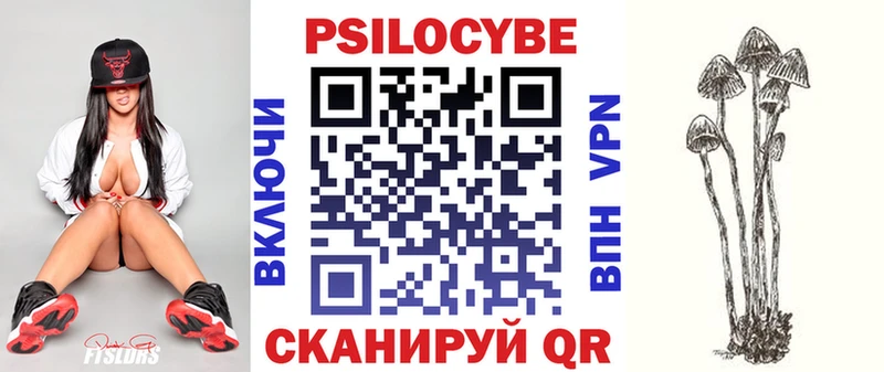 Галлюциногенные грибы мицелий  Купить где  Сретенск